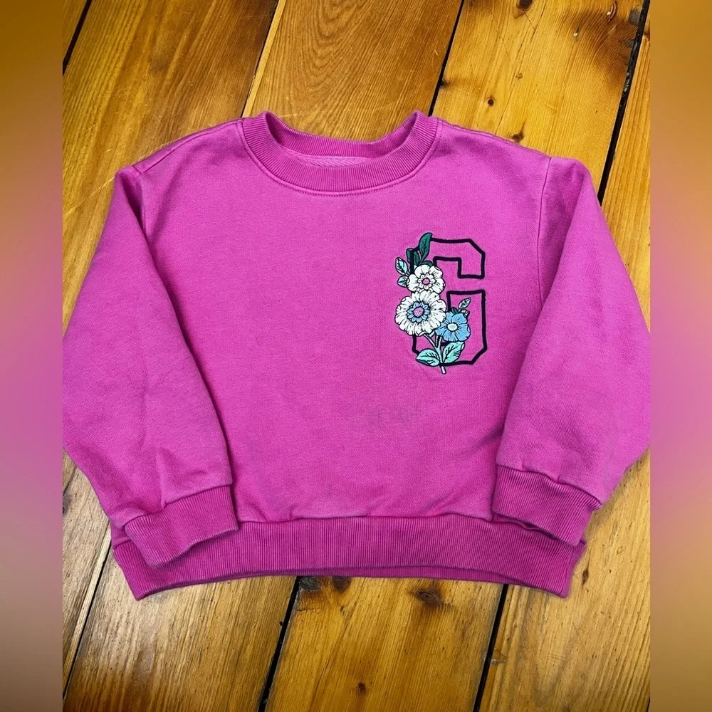 GAP Toddler Girls 4T Crewneck Sweater Sweatshirt Pink Flower Embroidery